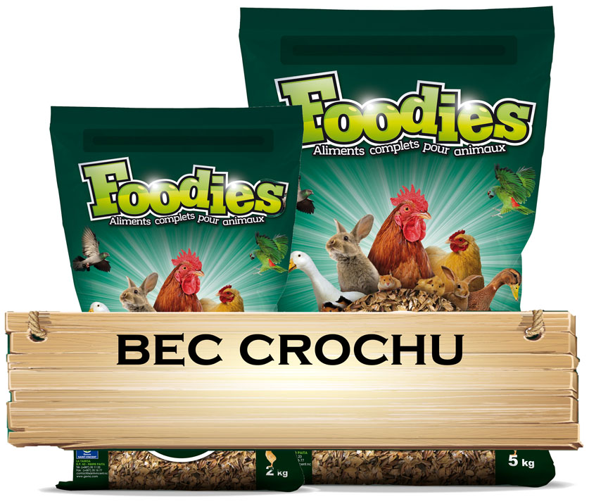 Bec Crochu Foodies