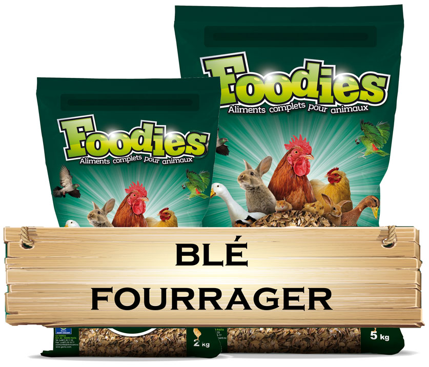 Blé Fourrager Foodies