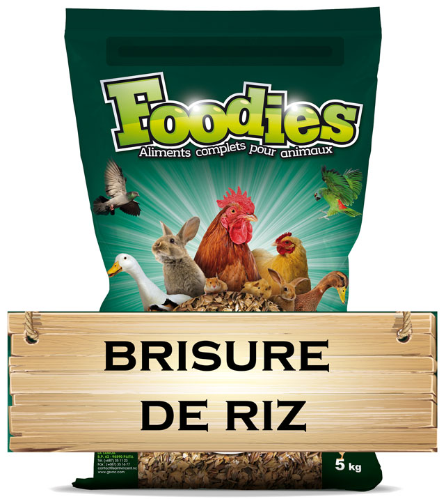 Brisure de Riz Foodies