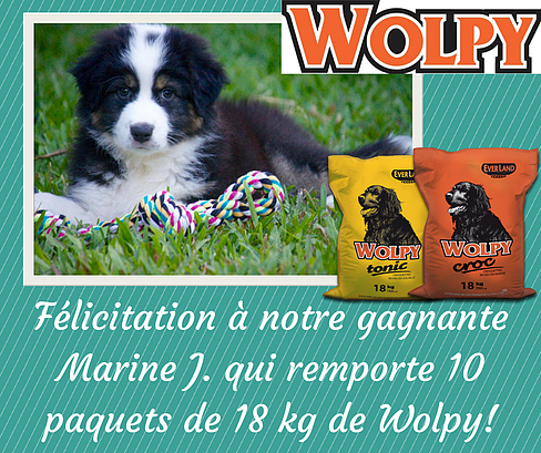 Gagnante du concours photo WOLPY