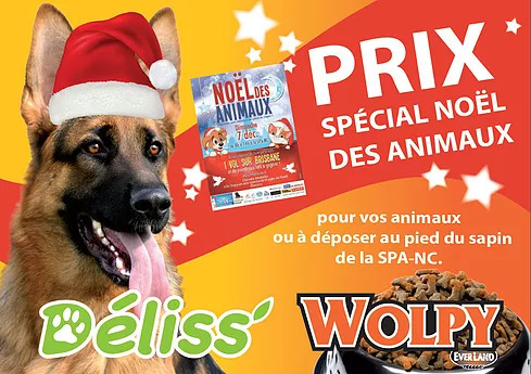 Un noël pas comme les autres !