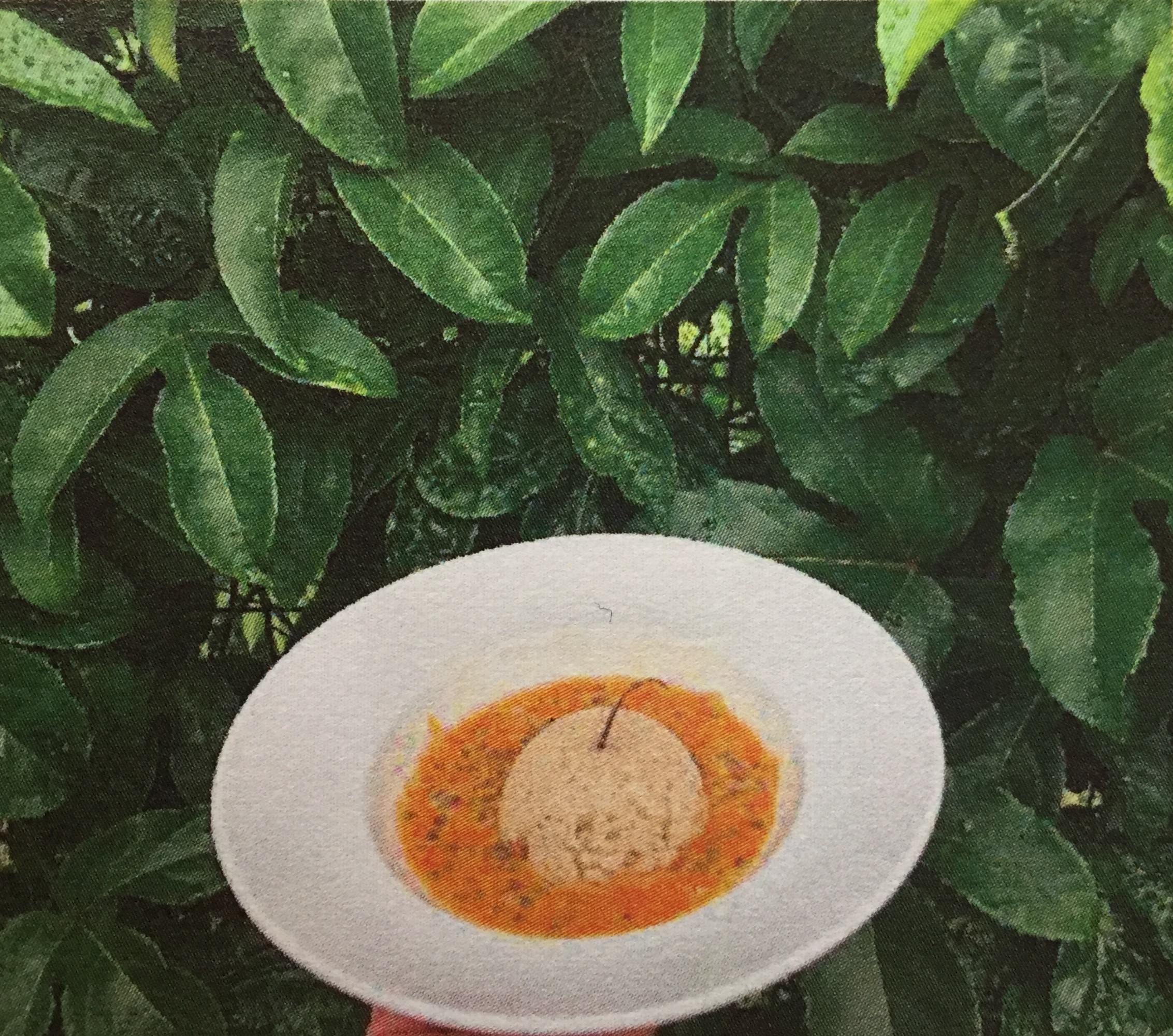 Ilots coco sur lagon de passion - Institut Spécialisé Autisme