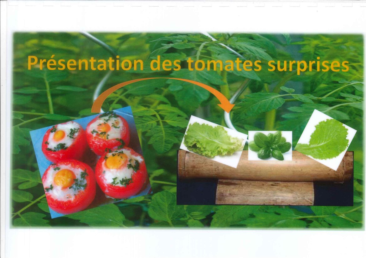 Les tomates surprises